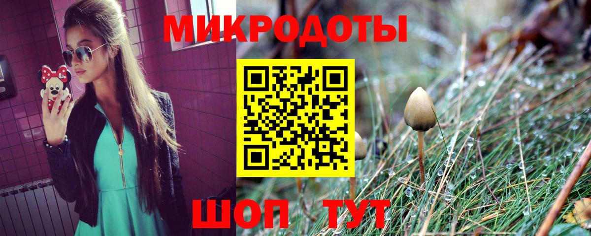 Псилоцибиновые грибы мицелий Тамбов